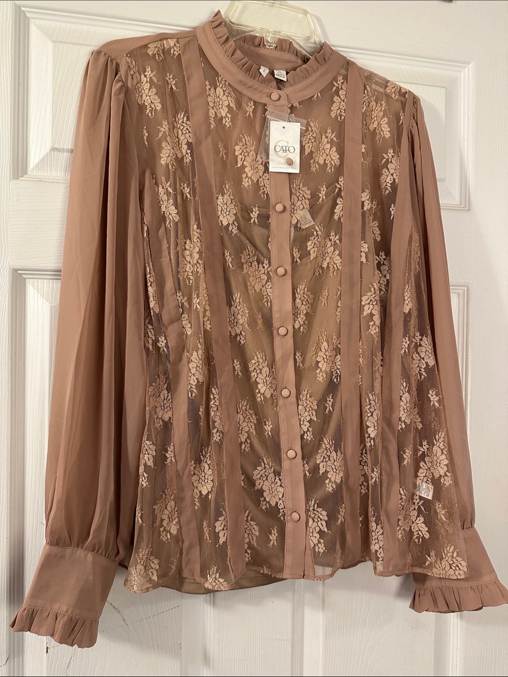 Cato Sheer Floral Lace Blouse in Dusty Mauve